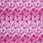 Orchid nouveau |||||